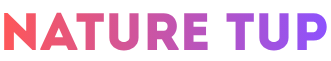 Логотип Naturetup